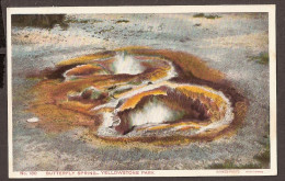 Yellowstone Park - Butterfly Spring - Yellowstone