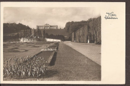 Wien, Vienna, Schönbrünn 1949 - Sonstige & Ohne Zuordnung