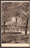 Wien, Vienna, Städtisches Strandbad "Gänsehäufel - Sonstige & Ohne Zuordnung