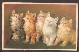 De Petites Chats - 1957 - Cats