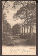 Hilversum - Rond 1900 - Picknik Laantje (Corverschbosch) Corversbos - Hilversum