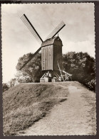 Bruges, Brugge - Molen Op De Stadswallen, Moulin à Vent, Mühle - Brugge