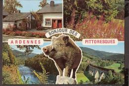 Ardennes - Train, Railroad. Sanglier, Everzwijn, Wild Boar, Wildschwein - Sonstige & Ohne Zuordnung