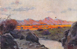 Landschaft Aus Deutsch Südwest Künstlerkarte Peter Paul Müller Gel.1918 - Ehemalige Dt. Kolonien