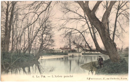 CPA DE LA PIE  (VAL DE MARNE)  L'ARBRE PENCHÉ - Saint Maur Des Fosses