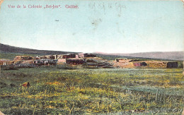 Israel - View Of The Beitegen Kibbutz (spelled Bet-Jen), Upper Galilee - Publ. Palestine Moderne 44A - Israël