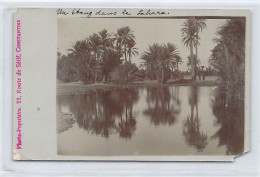 Algérie - Un étang Dans Le Sahara - CARTE PHOTO - VOIR LES SCANS POUR L'ÉTAT - Ed. Photo-Populaire  - Altri & Non Classificati