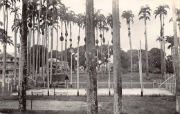 Guyane - CAYENNE - Stade Tennis Club - Ed. Inconnu  - Cayenne