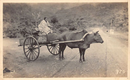 Philippines - Filipina Lady And Carabao - REAL PHOTO - Publ. Unknown  - Philippines