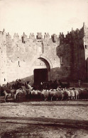 Israel - JERUSALEM - Damascus Gate - Publ. American Colony Photo Cards (no Imprint) 11 - Israel