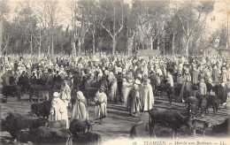 Algérie - TLEMCEN - Marché Aux Bestiaux - Ed. LL Lévy 16 - Tlemcen