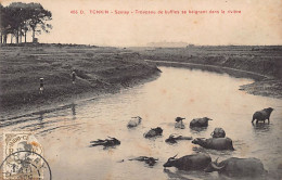 Viet-Nam - SONTAY - Troupeau De Buffles Se Baignant Dans La Rivière - Ed. P. Dieulefils 486D - Viêt-Nam