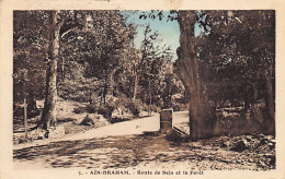 AÏN DRAHAM - Route De Beja Et Al Forêt - Ed. EPA 5 - Tunisia