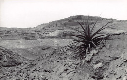 Perú - Templo Del Sol Pachacamac - REAL PHOTO - Ed. Maidens Post Cards  - Peru