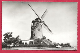 C.P. Cadzand  = Molen - Cadzand