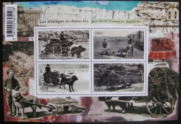 SAINT PIERRE & MIQUELON - Les Attelages De Chiens Des Iles Saint Pierre Et Miquelon - Unused Stamps