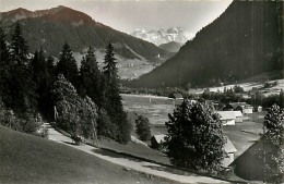 74* VALLEE DE CHATEL  CPSM(9x14cm)     MA108,0518 - Otros & Sin Clasificación