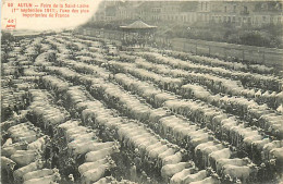 71* AUTUN  Foire De La St Ladre (1-9-1911)   MA108,0177 - Autun