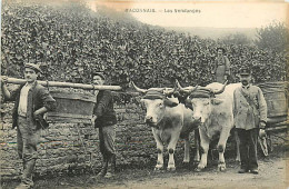 71* BOURBON LANCY  Les Vendanges     MA108,0171 - Autres & Non Classés