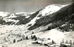 74* CHATEL  CPSM(9x14cm)      MA108,0654 - Other & Unclassified