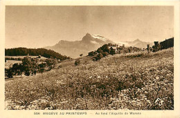 74* MEGEVE   Au Printemps    MA108,0649 - Megève