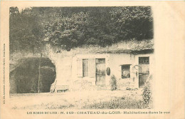 72* CHATEAU DU LOIR  Habitations  Dans Le Roc     MA108,1378 - Chateau Du Loir