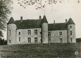 58* ST PEREUSE  Le Chateau  (CPSM 10x15cm)     RL18,0250 - Autres & Non Classés