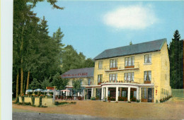 58* SETTONS  Hotel De  La Plage  (CPM 10x15cm)     RL18,0208 - Sonstige & Ohne Zuordnung