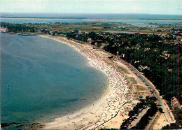 56* CARNAC  La Grande Plage  (CPM 10x15cm)     RL18,0107 - Carnac