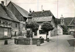 68* ST AMARIN  La Fontaine Du Coq  (CPSM 10x15cm)     RL18,0782 - Saint Amarin