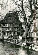 68* COLMAR  Lavoir De La Place De La Sinn  (CPSM 10x15cm)     RL18,0729 - Colmar