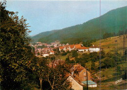 67* ROTHAU  Vue Generale  (CPM 10x15cm)     RL18,0728 - Rothau