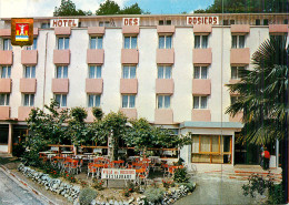 65* LOURDES  Hotel Des Rosiers  (CPM 10x15cm)     RL18,0611 - Lourdes