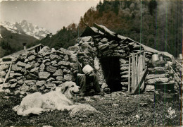 64* PYRENEES  Cabane De Berger En Montagne (CPSM 10x15cm)     RL18,0577 - Altri & Non Classificati