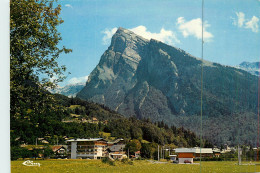 74* SAMOENS  Vue Generale  (CPM 10x15cm)      RL18,1316 - Samoëns