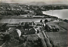 74* THONON LES BAINS  Chateau De Ripaille   (CPSM 10x15cm)      RL18,1282 - Thonon-les-Bains