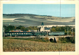 51* AVENAY  Train Dans Le Vignoble      (CPSM 10x15cm)   RL18,1281 - Autres & Non Classés