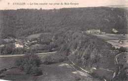 89 AVALLON   Le  Lion Couché Vue Prise Du Bois Gargan  (Scan R/V) N° 23 \MR8004 - Avallon