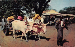 Attelage Charette à Boeufs Timbre Niokolo-koba édition Hoa-Qui Dakar Sénégal  (Scan R/V) N° 74 \MR8001 - Sénégal