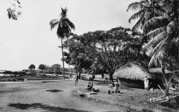 GUINEE Conakry  Case Indigènes Sur La Corniche éd Constantin  (Scan R/V) N° 29 \MR8001 - Guinea Francese