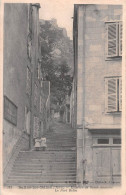 39 SALINS LES BAINS   Escalier De Saint Anatoile  édition Chapuis (Scan R/V) N° 30 \MR8000 - Sonstige & Ohne Zuordnung