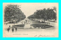 A901 / 565 34 - MONTPELLIER Esplanade - Montpellier