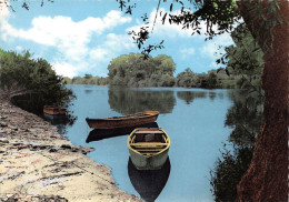 40   Barques Au Bord De L'Adour Les LANDES   (Scan R/V) N°  50   \MR8025 - Altri & Non Classificati