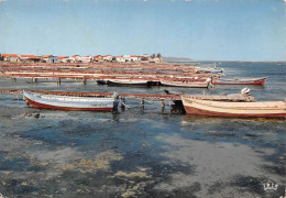 34   étang De THAU Le Port De Pêche  (Scan R/V) N° 11 \MR8022 - Sonstige & Ohne Zuordnung