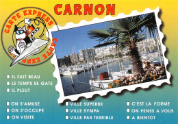 34  CARNON PLAGE Express   (Scan R/V) N°   14   \MR8020 - Other & Unclassified