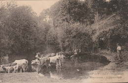 Bourneuf-la-Foret 53 (10421) Paysage Mayennais - L'Abreuvoir, Rare - Otros & Sin Clasificación