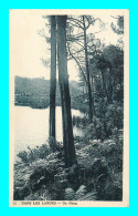 A899 / 551 40 - Dans Les Landes Un Etang - Andere & Zonder Classificatie