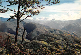 09  FOIX    La Route Verte Au Col De Marrous  (Scan R/V) N°    37    \MR8035 - Foix