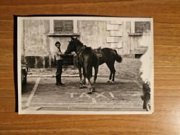 19452. Fotografia D'epoca Uomo Con Cavalli Su Piazzola Taxi Aa '60 Italia - 17,5x12,5 - Persone Anonimi