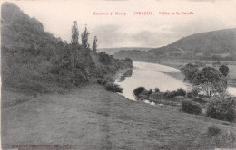 54  LIVERDUN  Vue Sur La Vallée De La  Moselle   Vers Nancy    (Scan R/V) N°   46    \MR8032 - Liverdun
